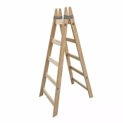 1707419394_escalera20pintor1-1.webp